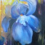 734_Iris-Bleu_H55xL46_M_onIris bleu.jpg - 53/56